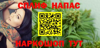 метадон Гай