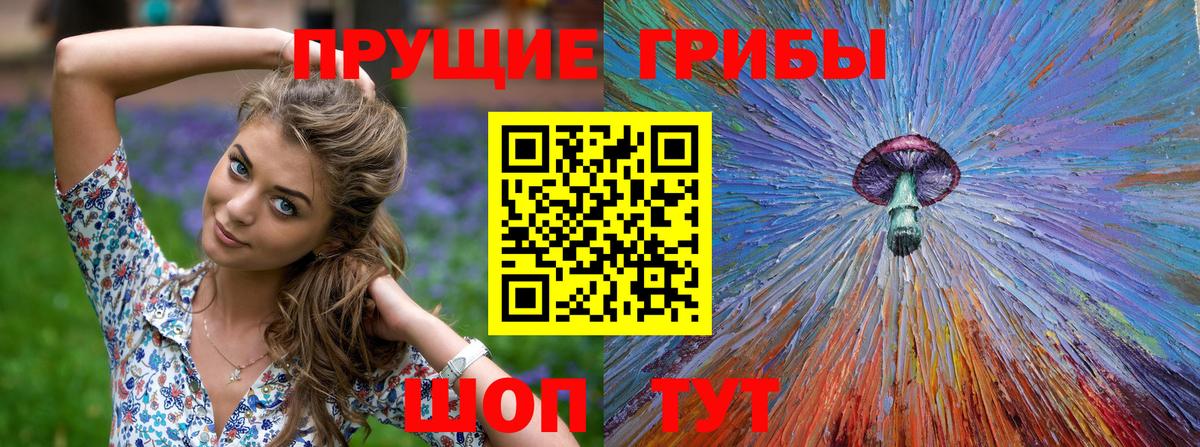 Галлюциногенные грибы ЛСД Грозный