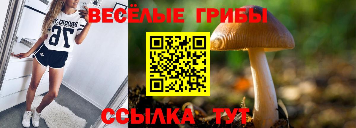 Галлюциногенные грибы GOLDEN TEACHER  Вход с VPN  Грозный 